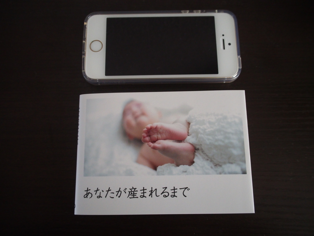 f:id:ppp2500:20161113161443j:plain