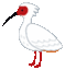 tokinomori